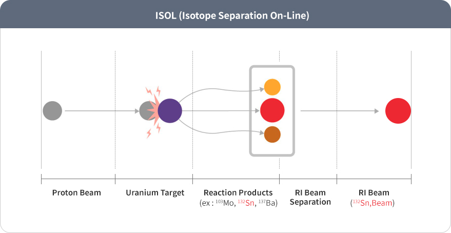 ISOL image - Proton beam → Uranium Target → Reaction Products(ex:103Mom 132Sn, 137Ba) → RI Beam Sepration → RI Beam(132Sn Beam)