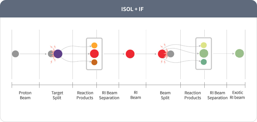 ISOL + IF image Proton Beam → Target Split → Reaction Products→ RI Beam Separation→ RI Beam →Beam Split→ Reaction Products→ RI Beam Separation → Exotic RI beam  